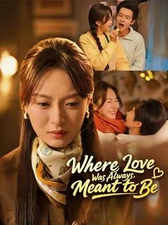 Where Love Was Always Meant to Be（DUBBED） — poster