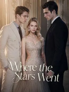 Where the Stars Went — poster
