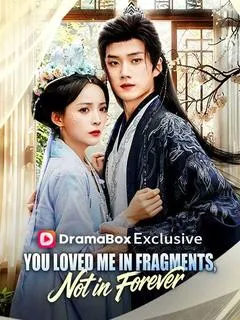 You Loved Me in Fragments, Not in Forever — poster