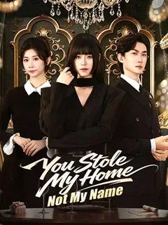 You Stole My Home, Not My Name — poster