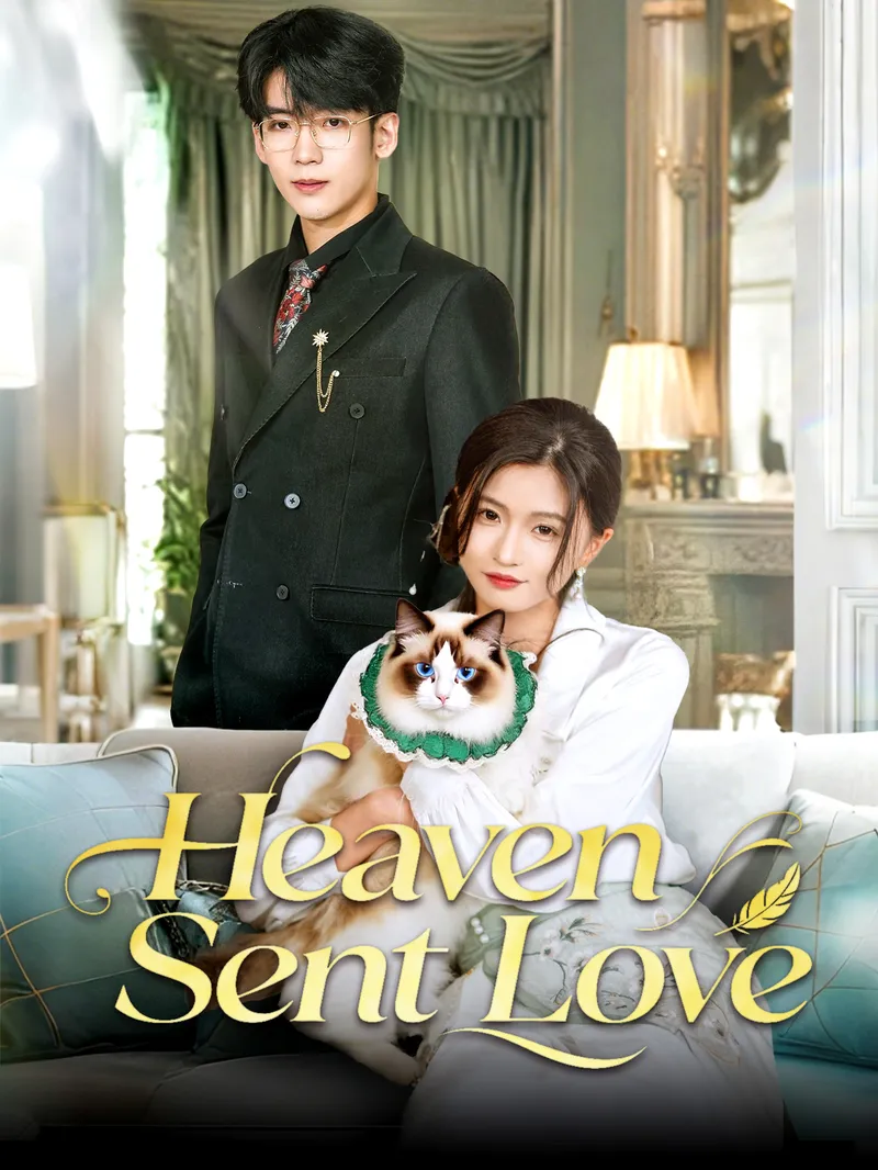 Heaven Sent Love — poster