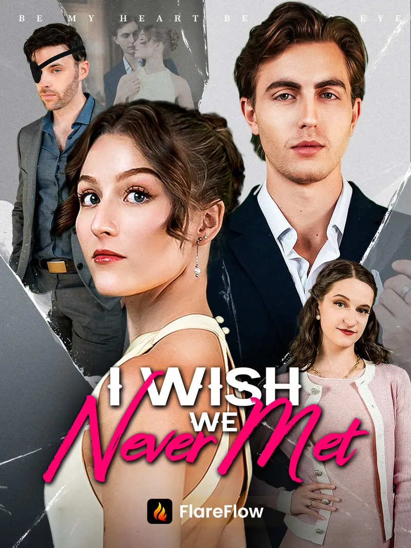 I Wish We Never Met — poster