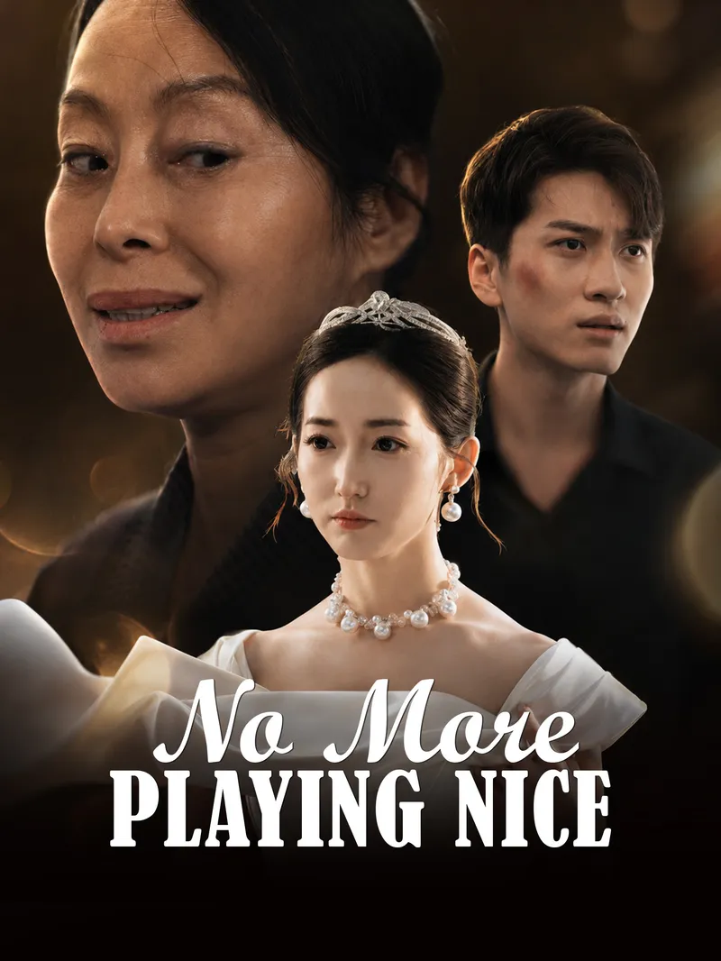 No More Playing Nice — poster