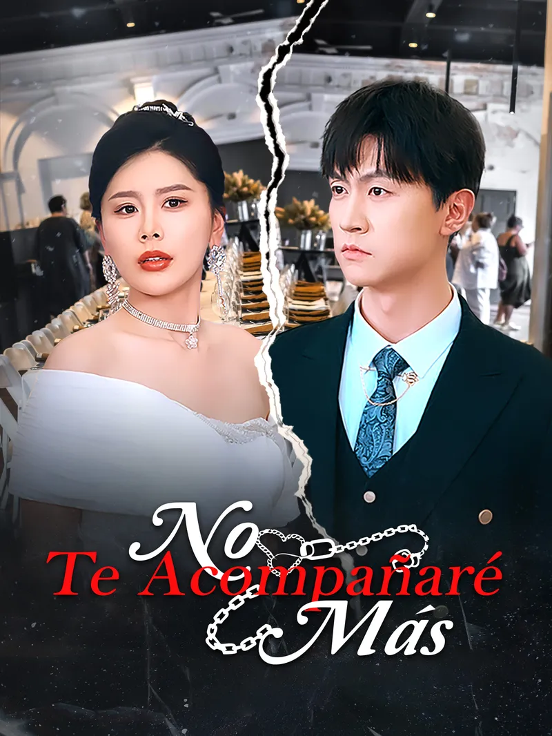 No Te Acompañaré Más — póster