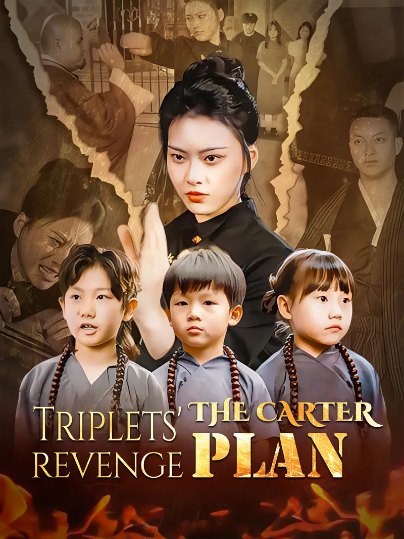 The Carter Triplets Revenge Plan — poster