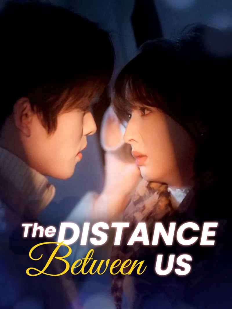 The Distance Between Us — poster