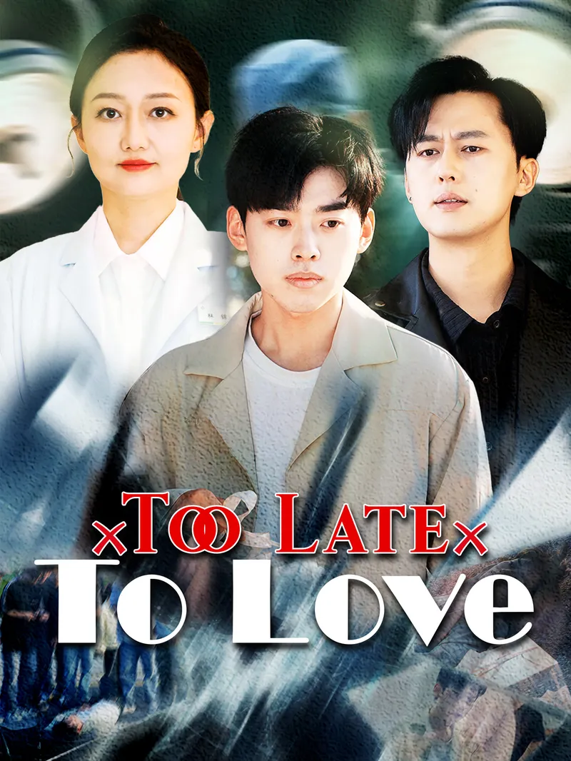 Too Late to Love — poster