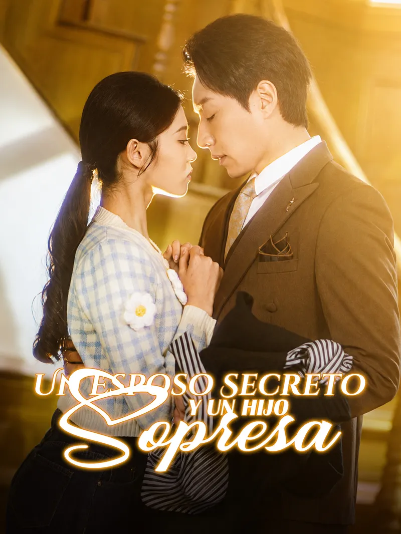 Un Esposo Secreto y un Hijo Sopresa — póster