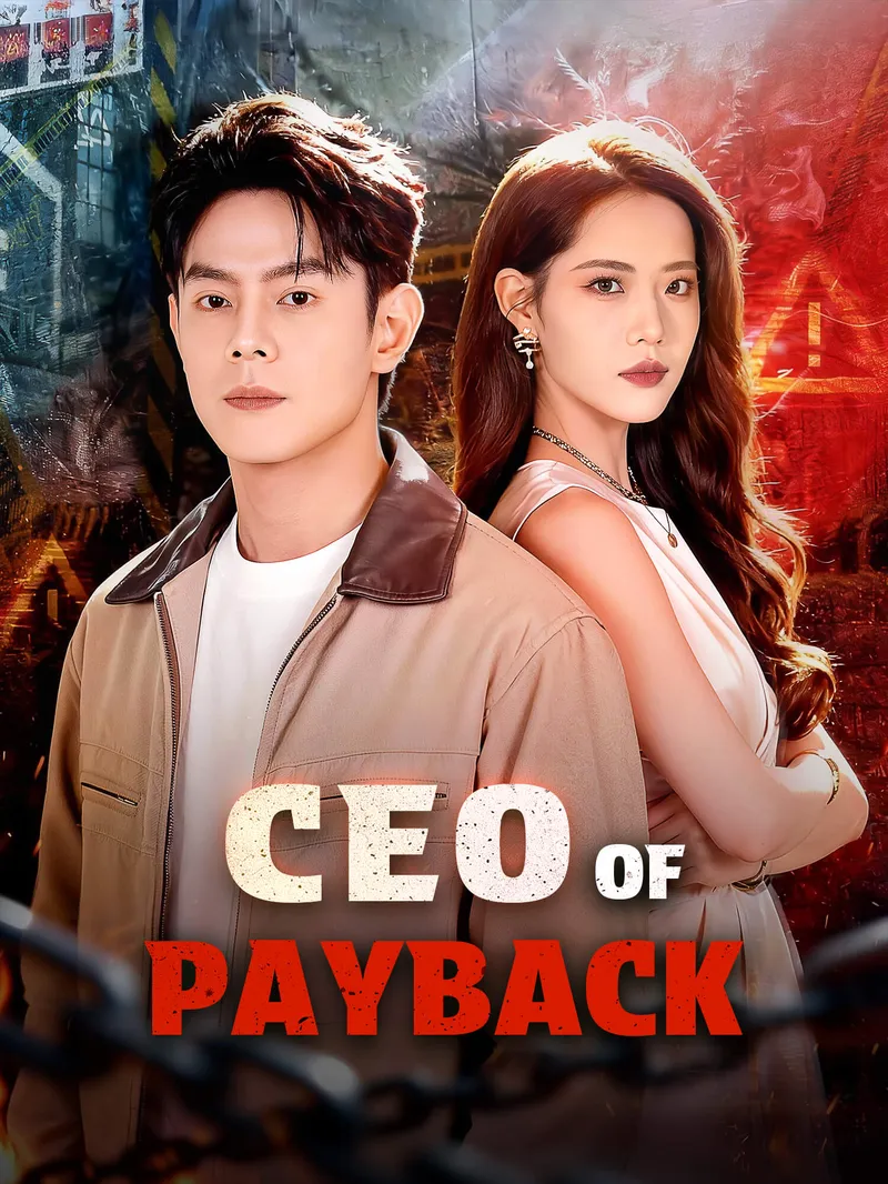 CEO of Payback — póster