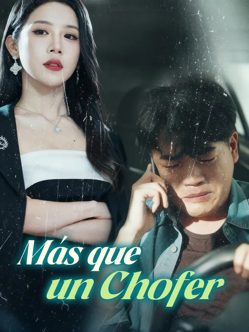 Más que un Chofer