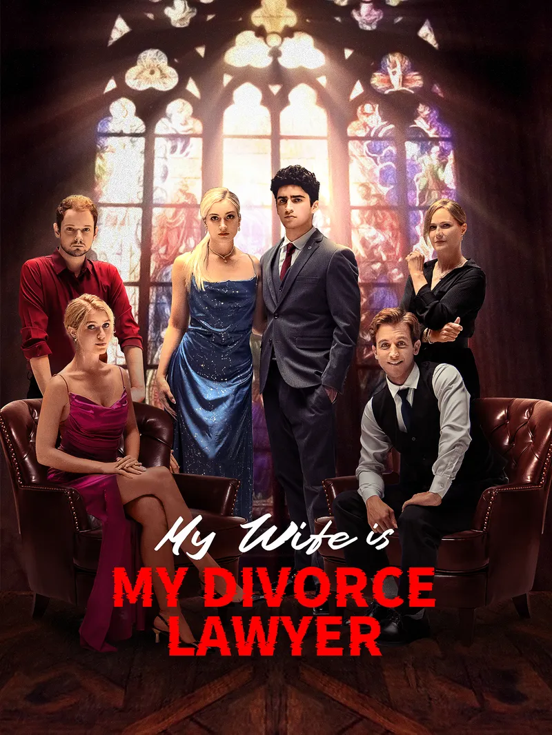 My Wife is My Divorce Lawyer