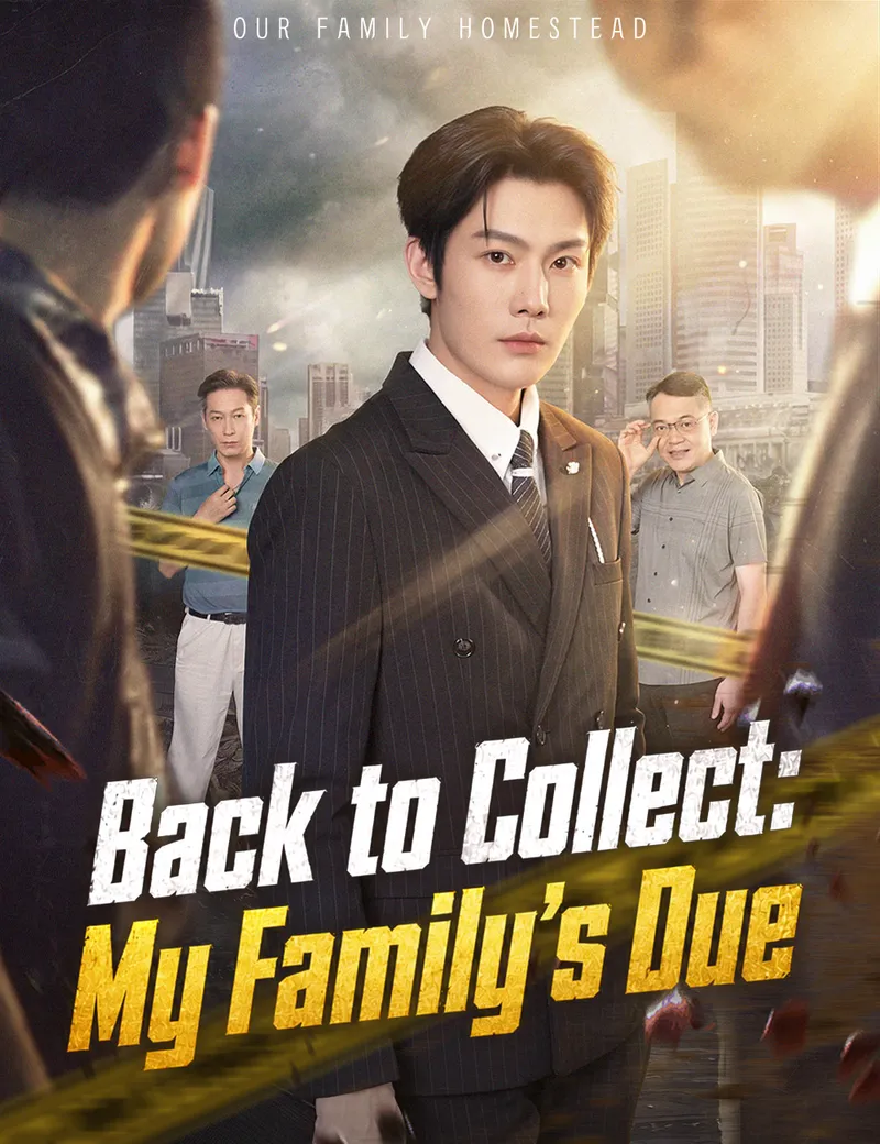 Back to Collect: My Family's Due — poster