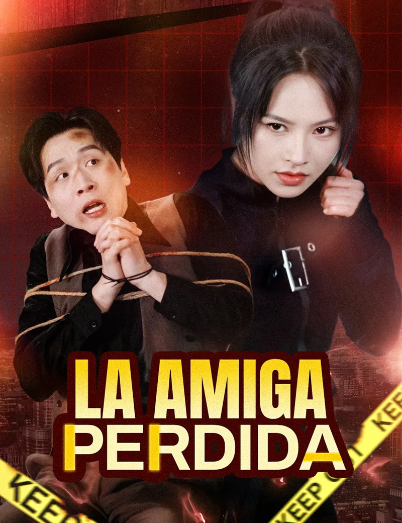 La amiga perdida — póster