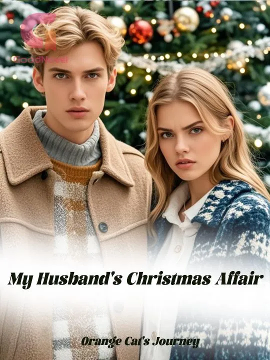 My Husband's Christmas Affair