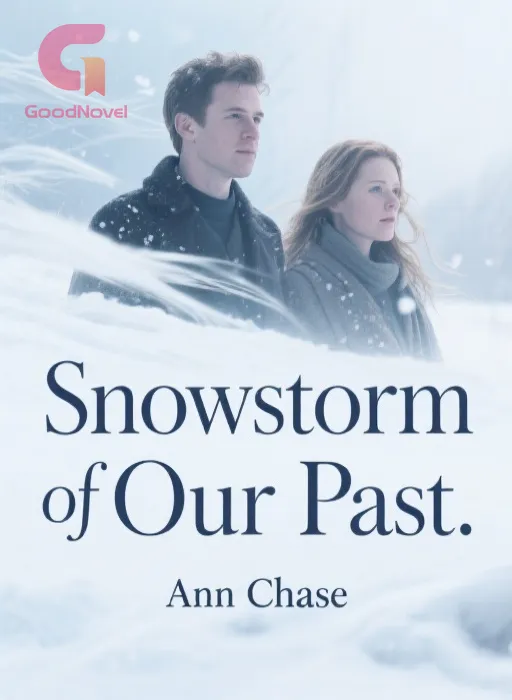 Snowstorm of Our Past