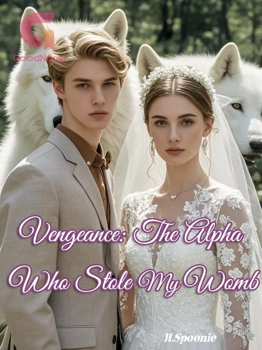 Vengeance: The Alpha Who Stole My Womb