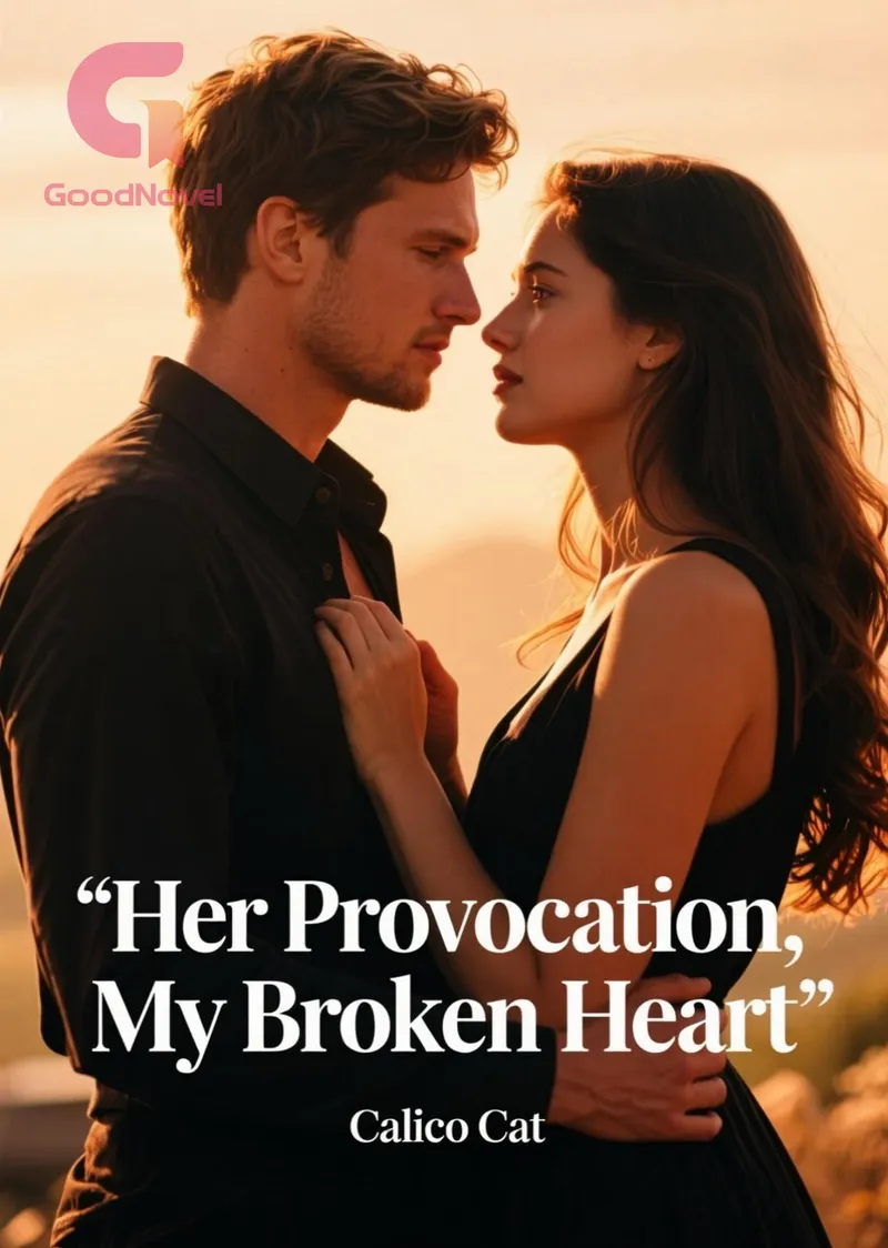 Her Provocation, My Broken Heart