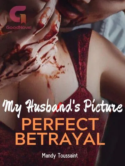 My Husband's Picture: Perfect Betrayal