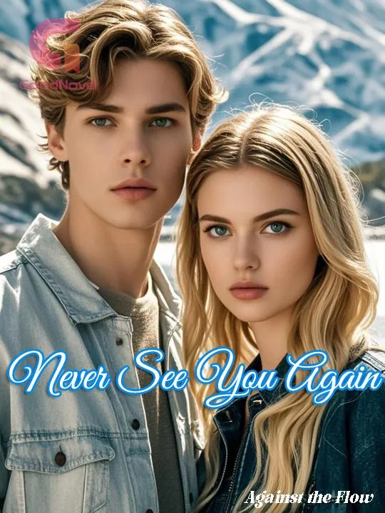 Never See You Again