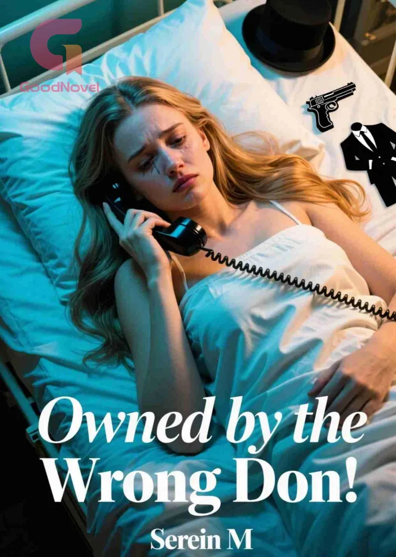 Owned by the Wrong Don
