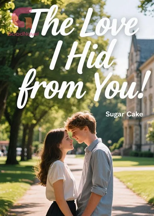 The Love I Hid from You