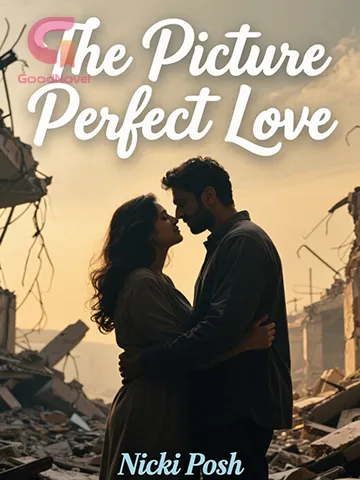 The Picture Perfect Love