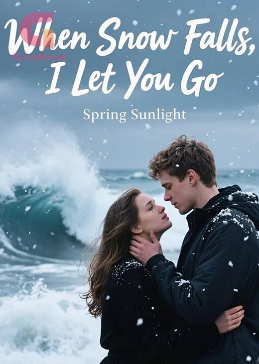 When Snow Falls, I Let You Go