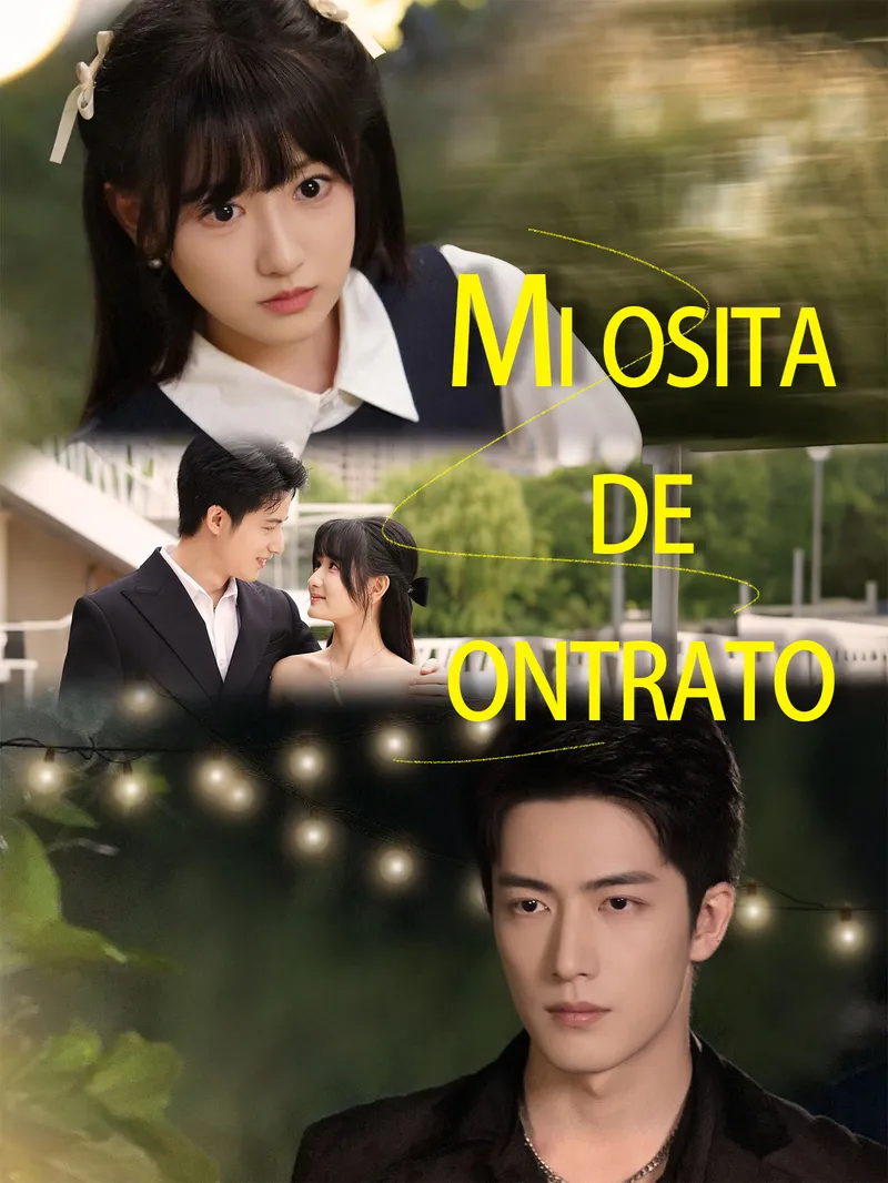 Mi osita de contrato