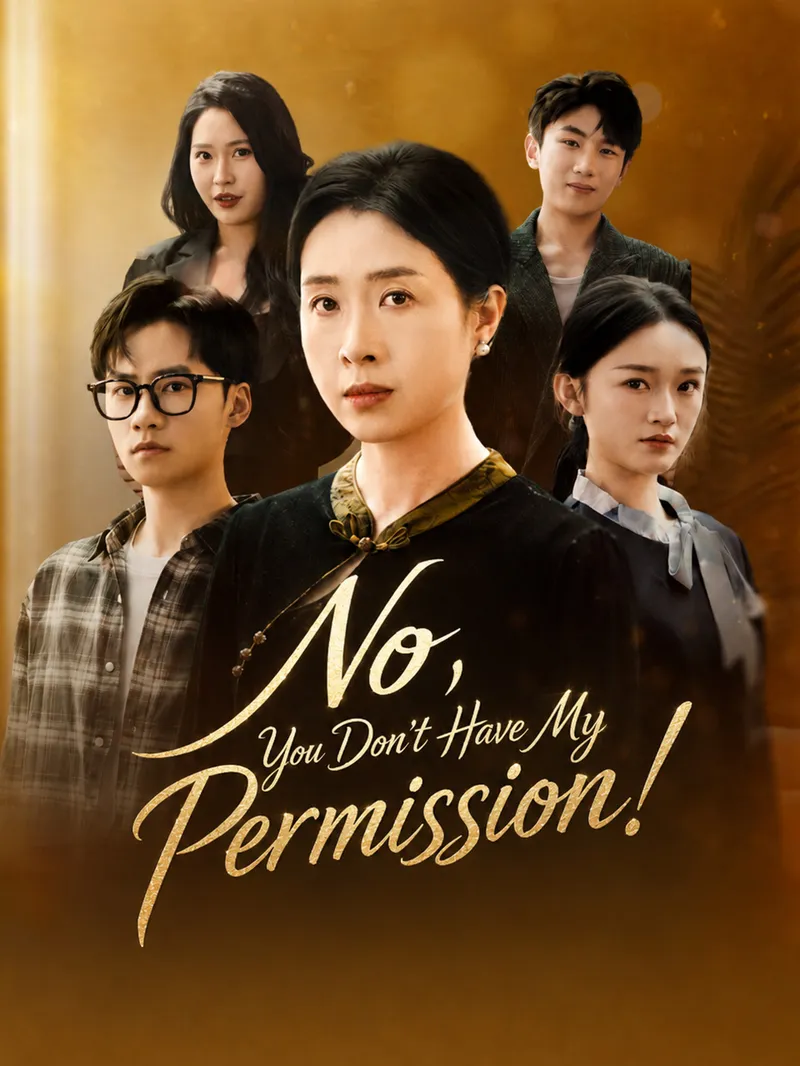 No, You Don't Have My Permission! — poster