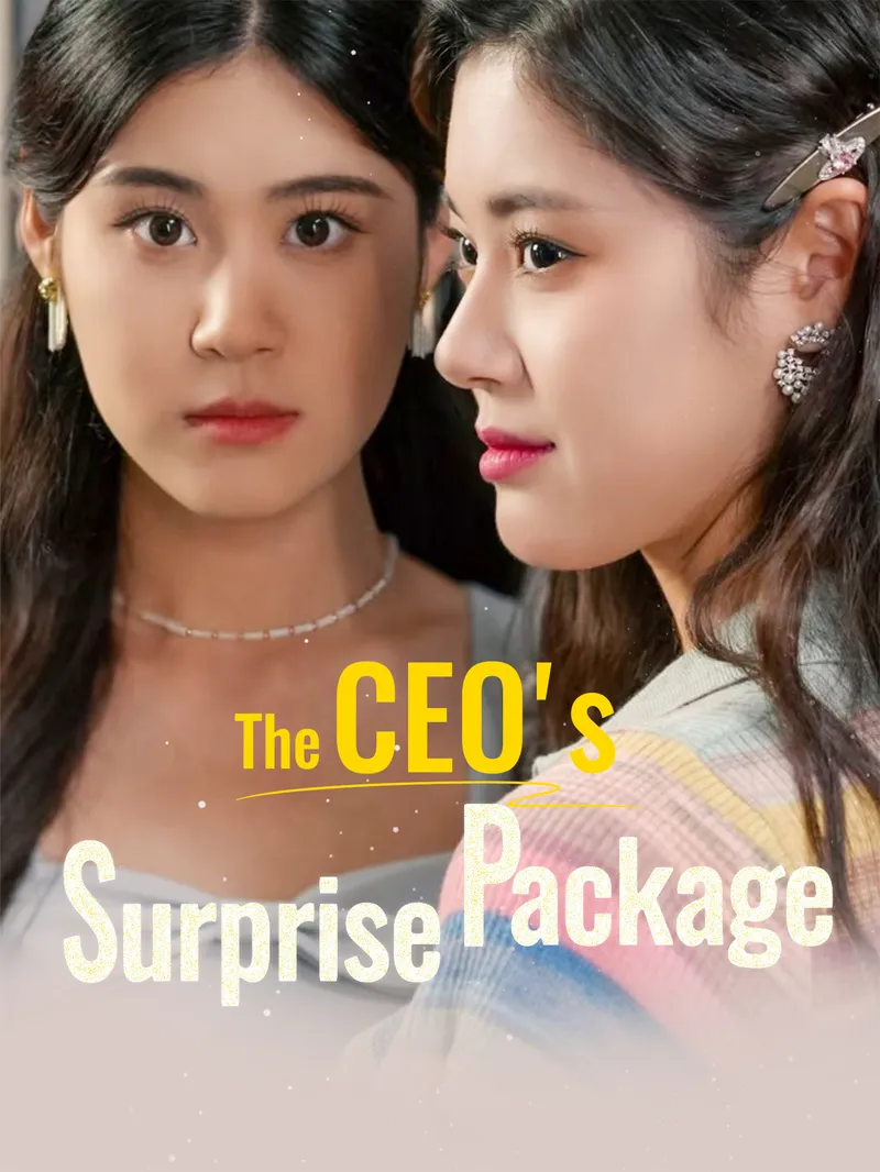 The CEO's Surprise Package
