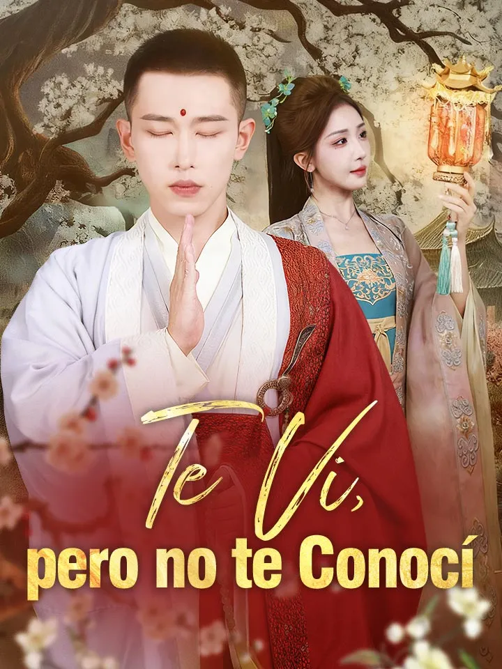 Te Vi, pero no te Conocí Drama Chino con 65 Episodios