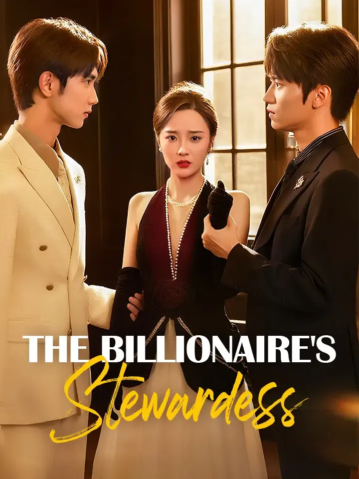The Billionaire's Stewardess