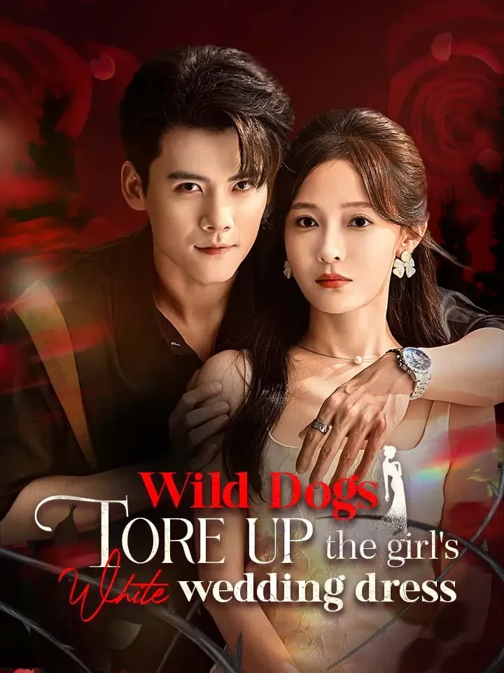 Wild dogs tore up the girl's white wedding dress