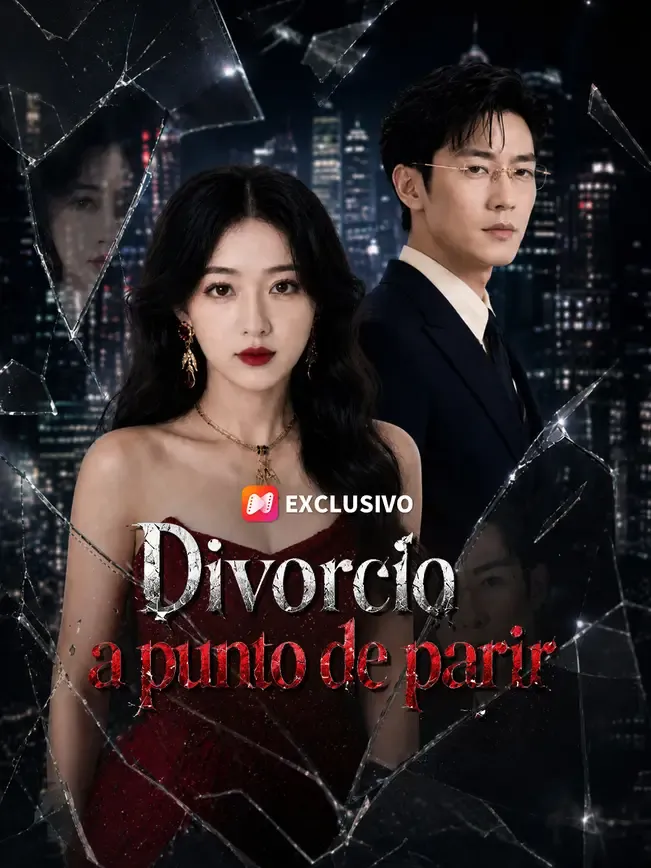 Divorcio a punto de parir — póster