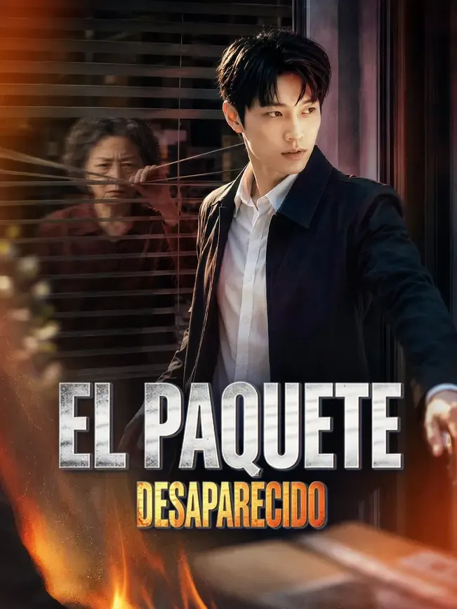 (Doblado) El paquete desaparecido — póster