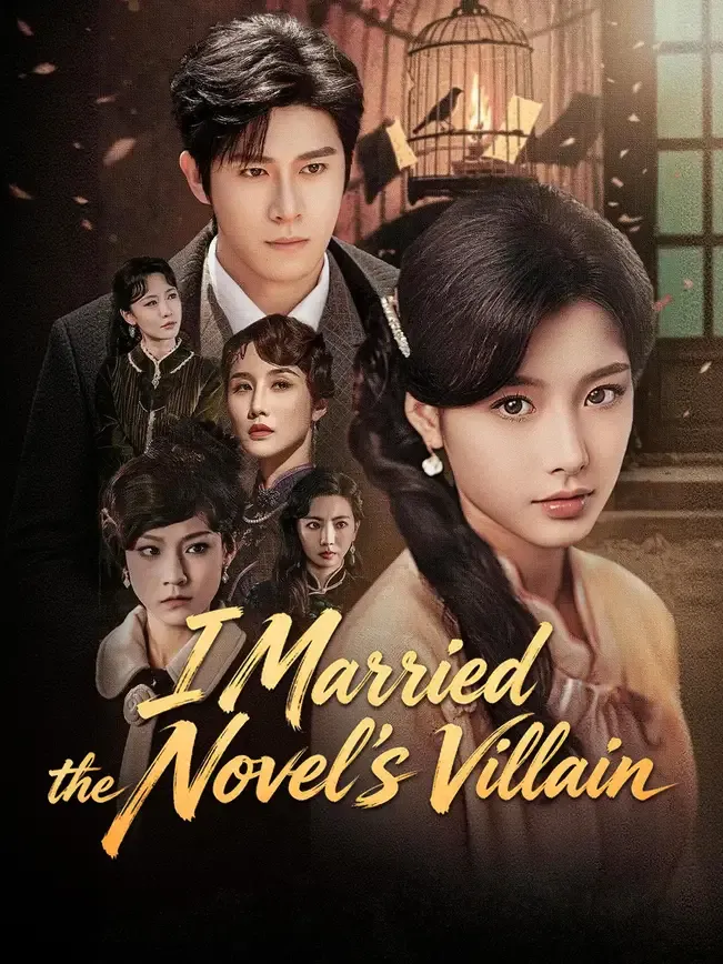 I Married the Novel's Villain