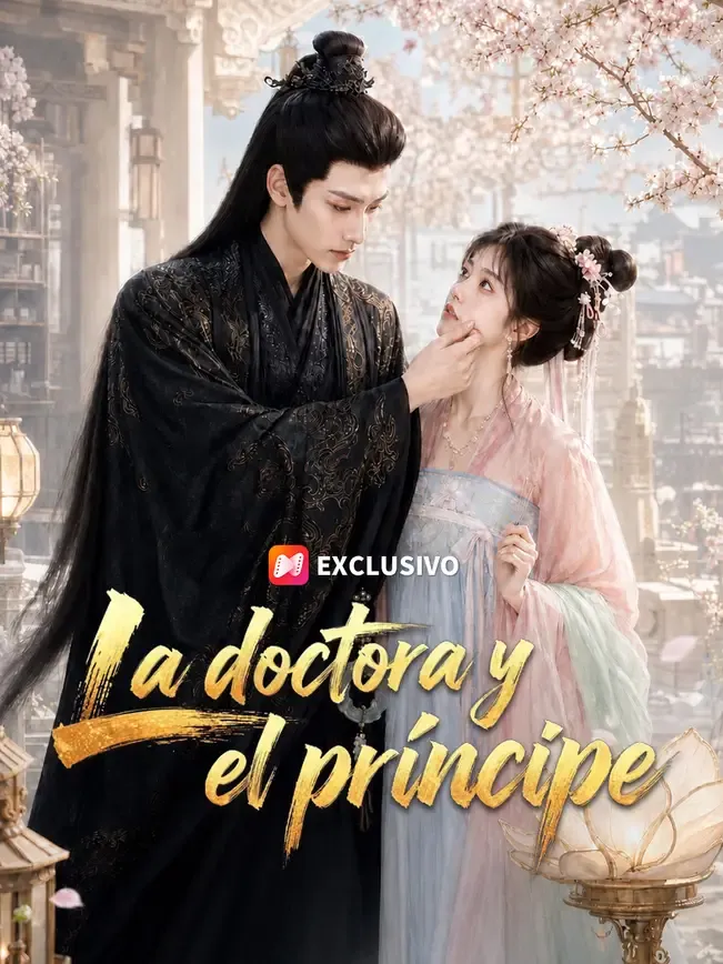 La doctora y el príncipe — póster