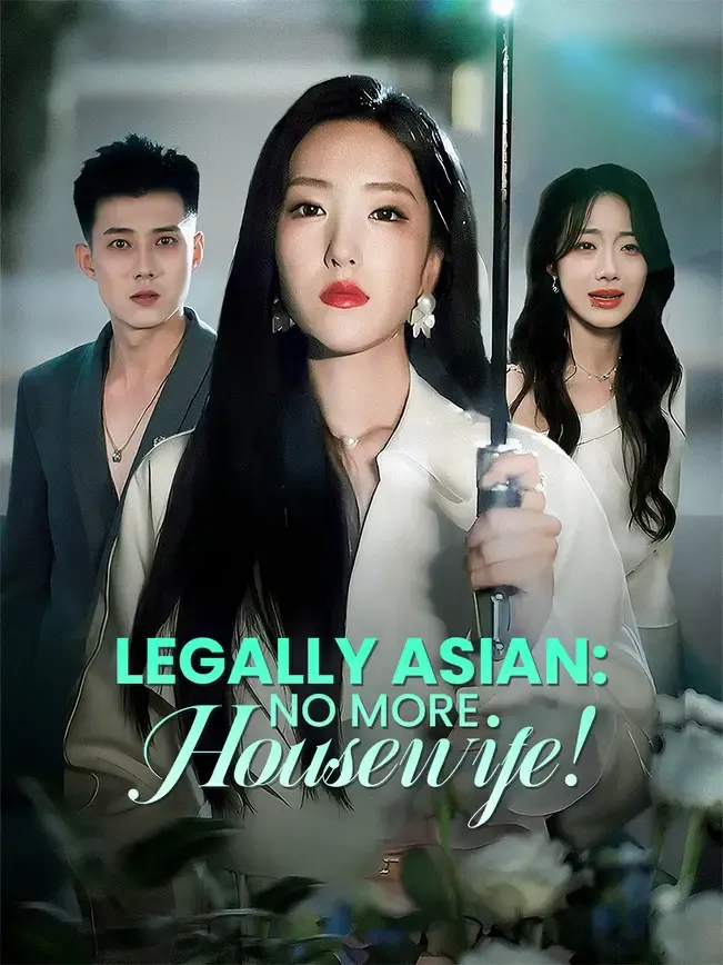 Legally Asian: No More Housewife! — poster