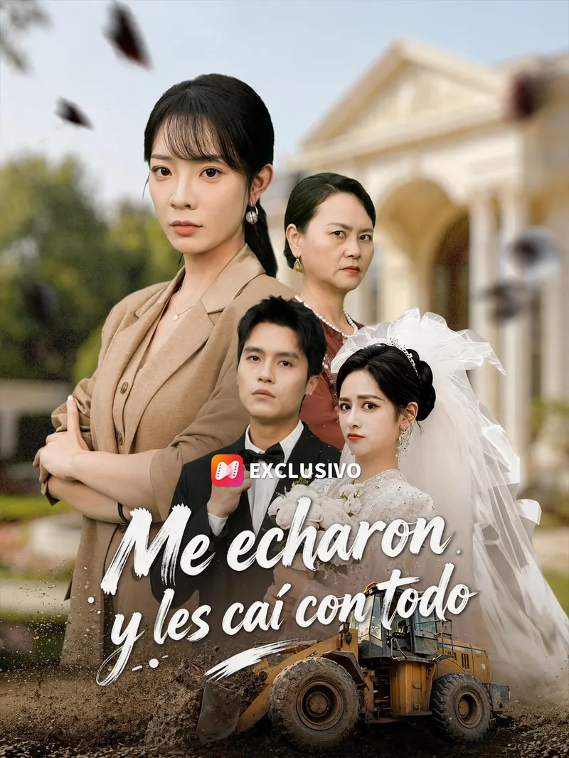 Me echaron y les caí con todo — póster