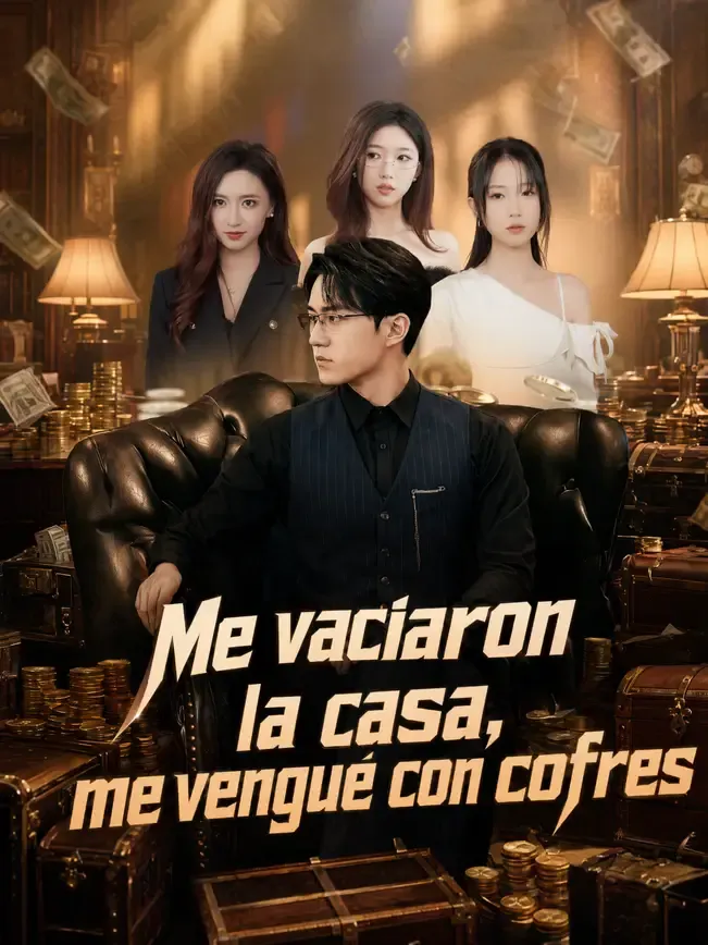 Me vaciaron la casa, me vengué con cofres — póster