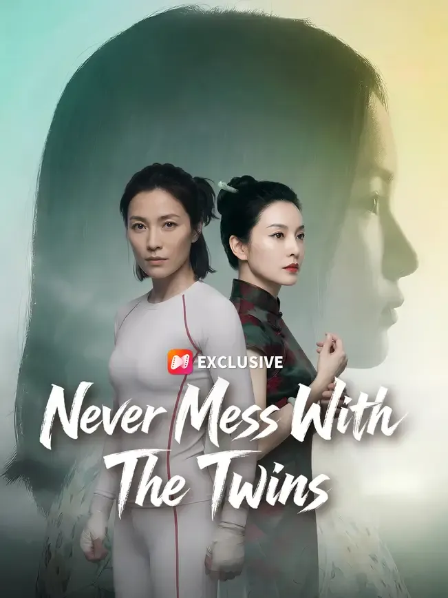 Never Mess With The Twins — poster