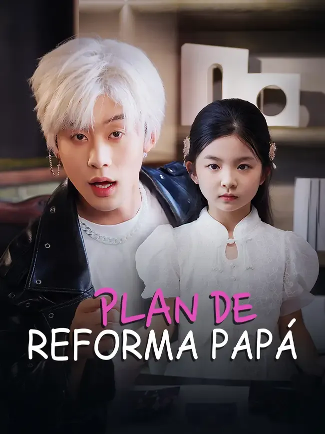Plan de reforma papá