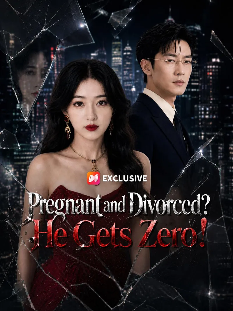 Pregnant and Divorced? He Gets Zero! — poster