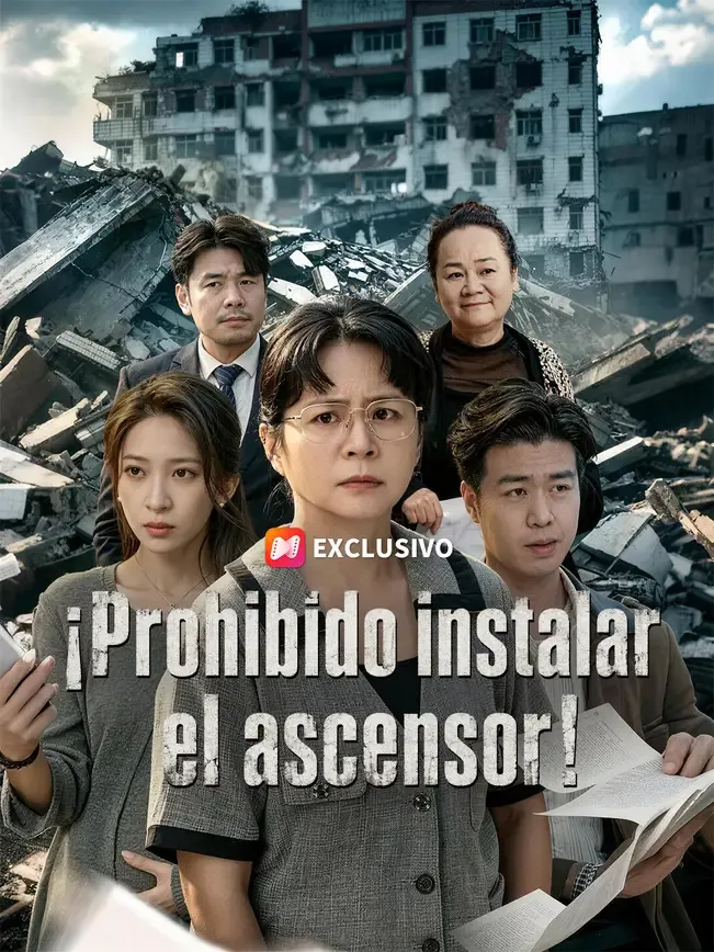 ¡Prohibido instalar el ascensor! — póster