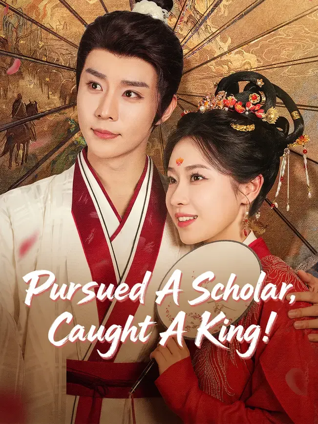 Pursued A Scholar, Caught A King! — poster