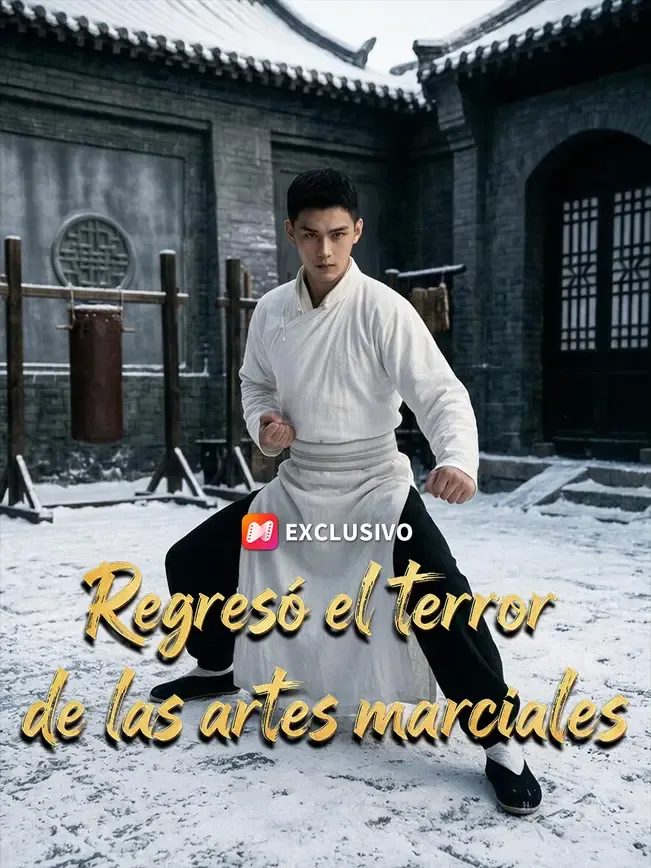 Regresó el terror de las artes marciales — póster