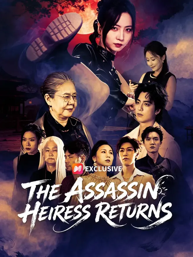 The Assassin Heiress Returns — poster
