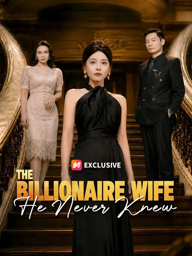 The Billionaire Wife He Never Knew — poster