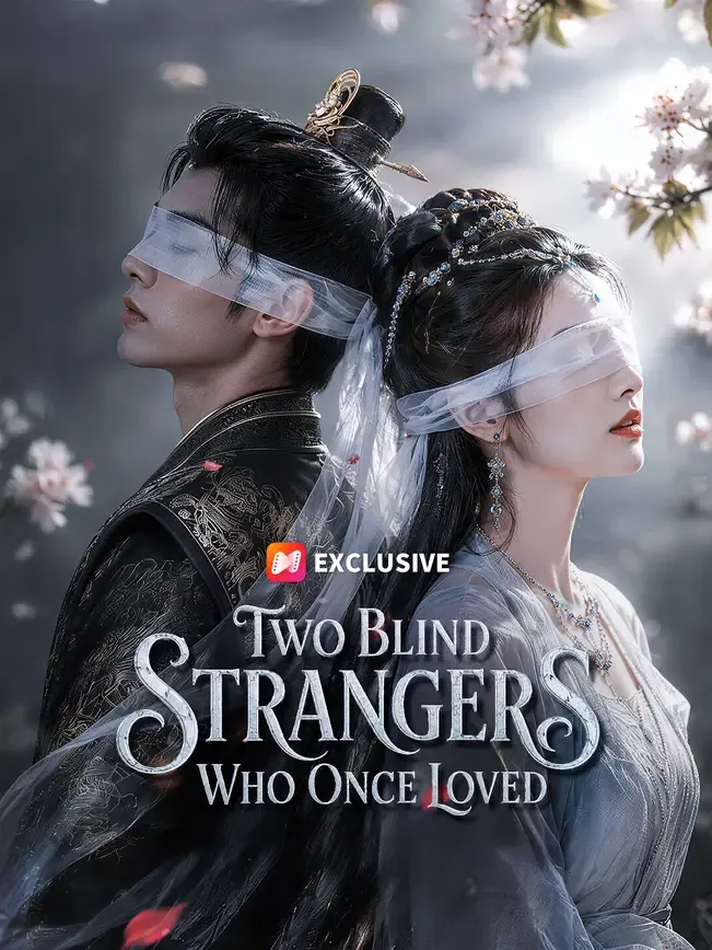 Two Blind Strangers Who Once Loved — poster