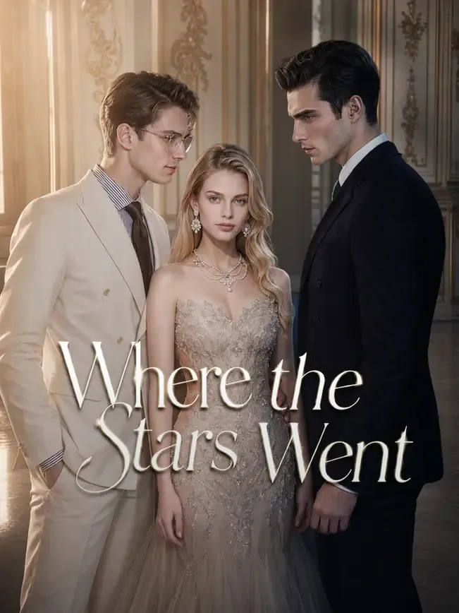 Where the Stars Went — poster